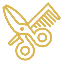 icon 1.png